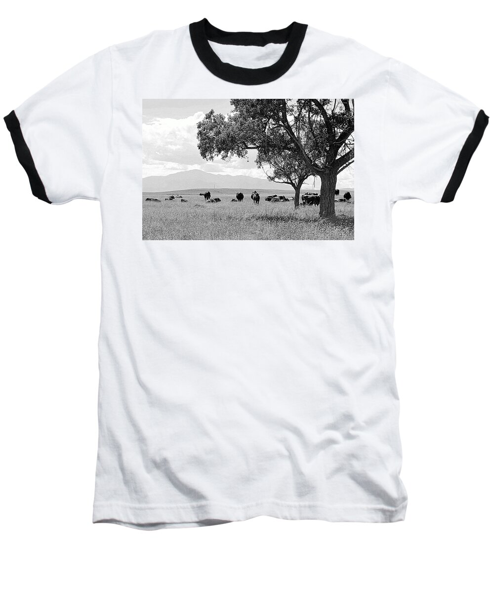 Pikes Peak Baseball T-Shirt featuring the photograph Cattle Ranch In Summer by Clarice Lakota