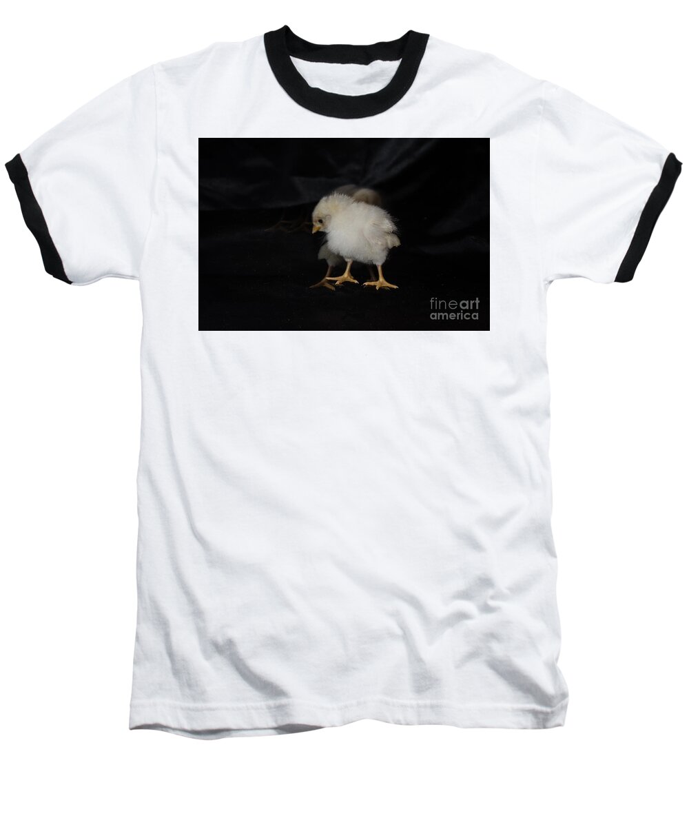 Chicken Baseball T-Shirt featuring the photograph Chicken Dance by Donna Brown