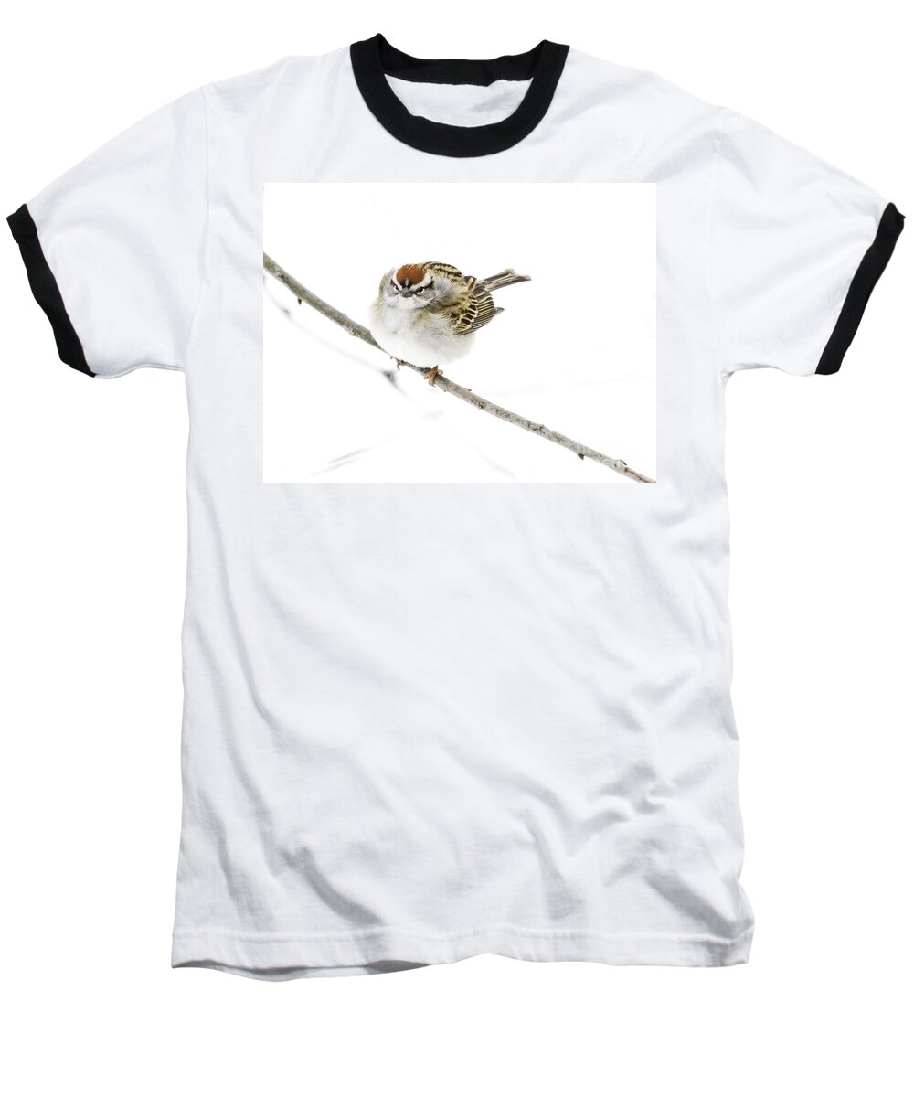 Chipping Sparrow Baseball T-Shirt featuring the photograph Chip by Jan Killian