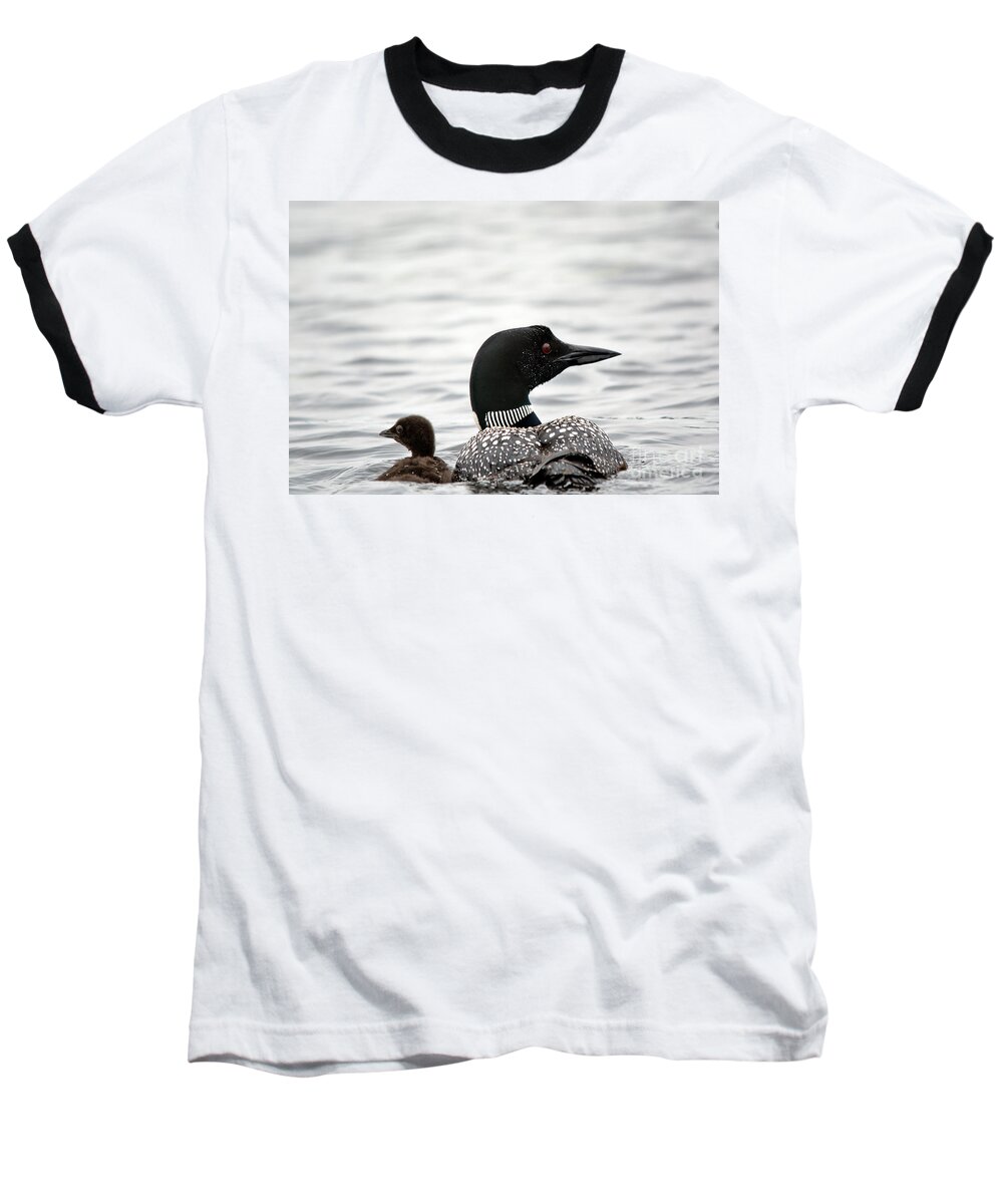 Common Loon Baseball T-Shirt featuring the photograph Common Loon and Baby by Cheryl Baxter