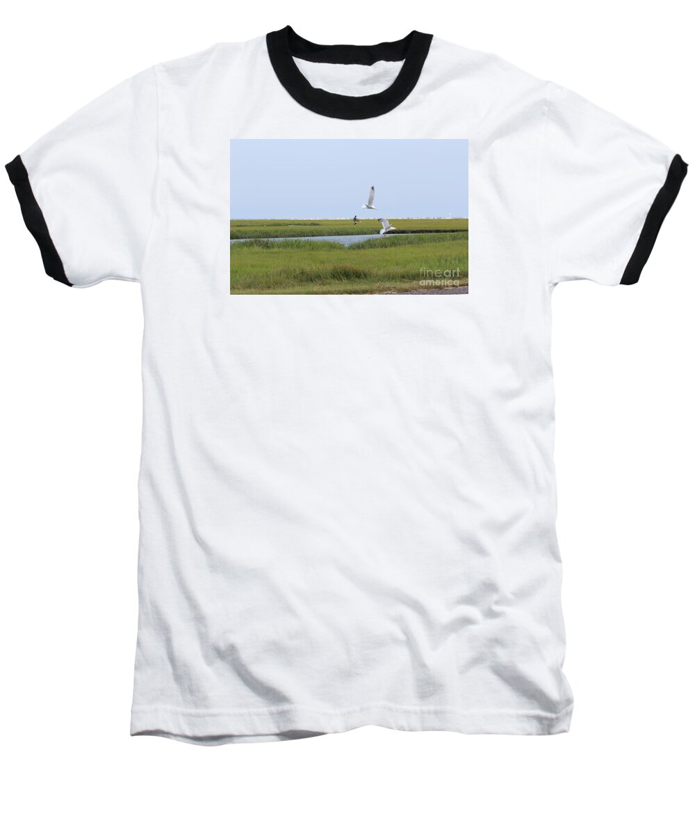 Seagulls Baseball T-Shirt featuring the photograph Crabber by David Jackson