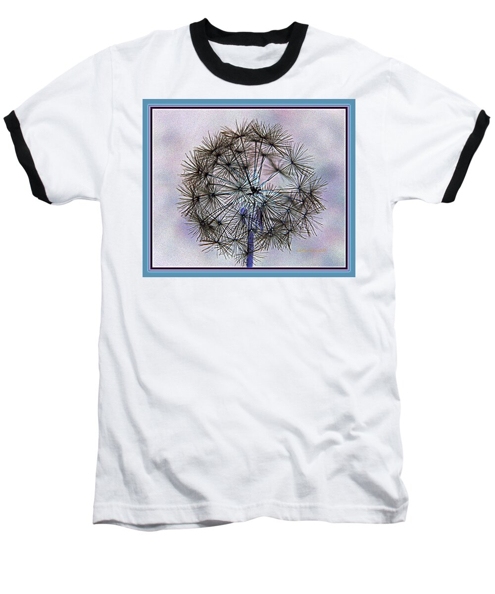 Dandelion Baseball T-Shirt featuring the photograph Dandelion Blue and Purple by Kathy Barney