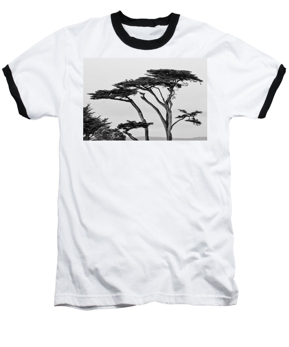 2012 Baseball T-Shirt featuring the photograph Dark Cypress by Melinda Ledsome