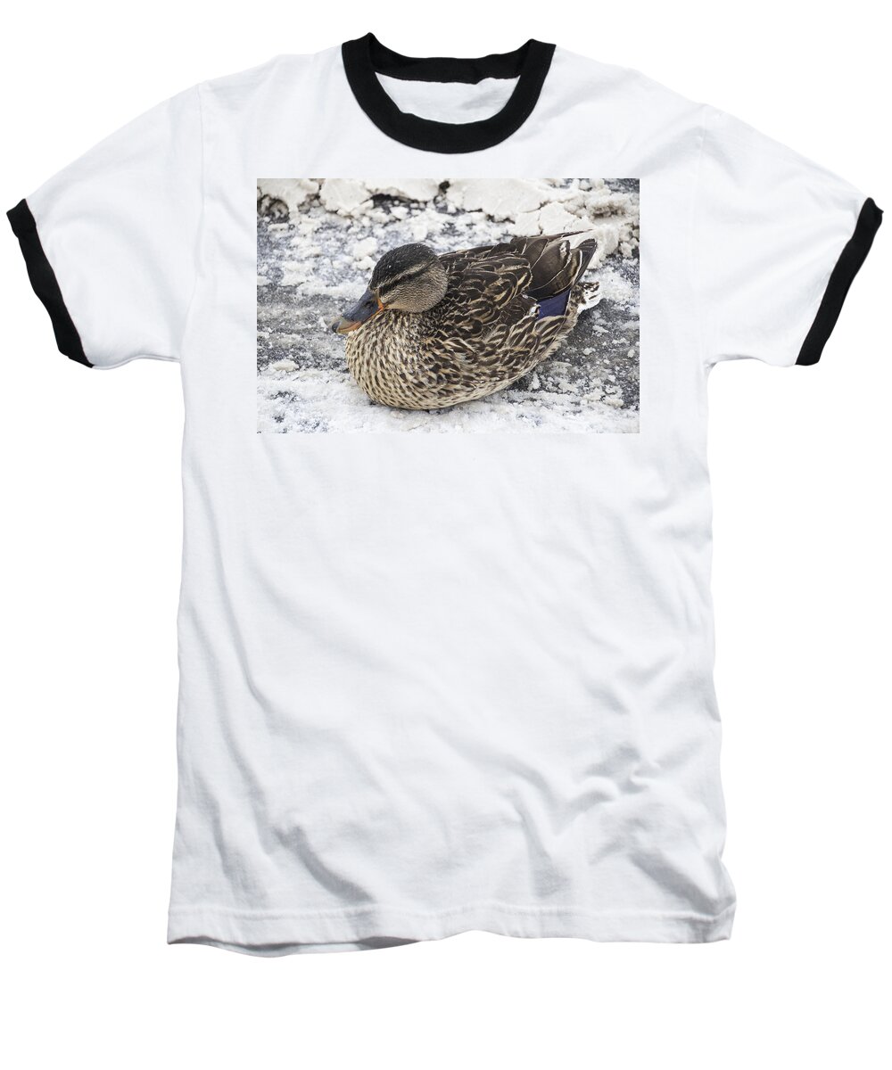 Duck Baseball T-Shirt featuring the photograph Duck Setting on a Winter Road by Joann Long