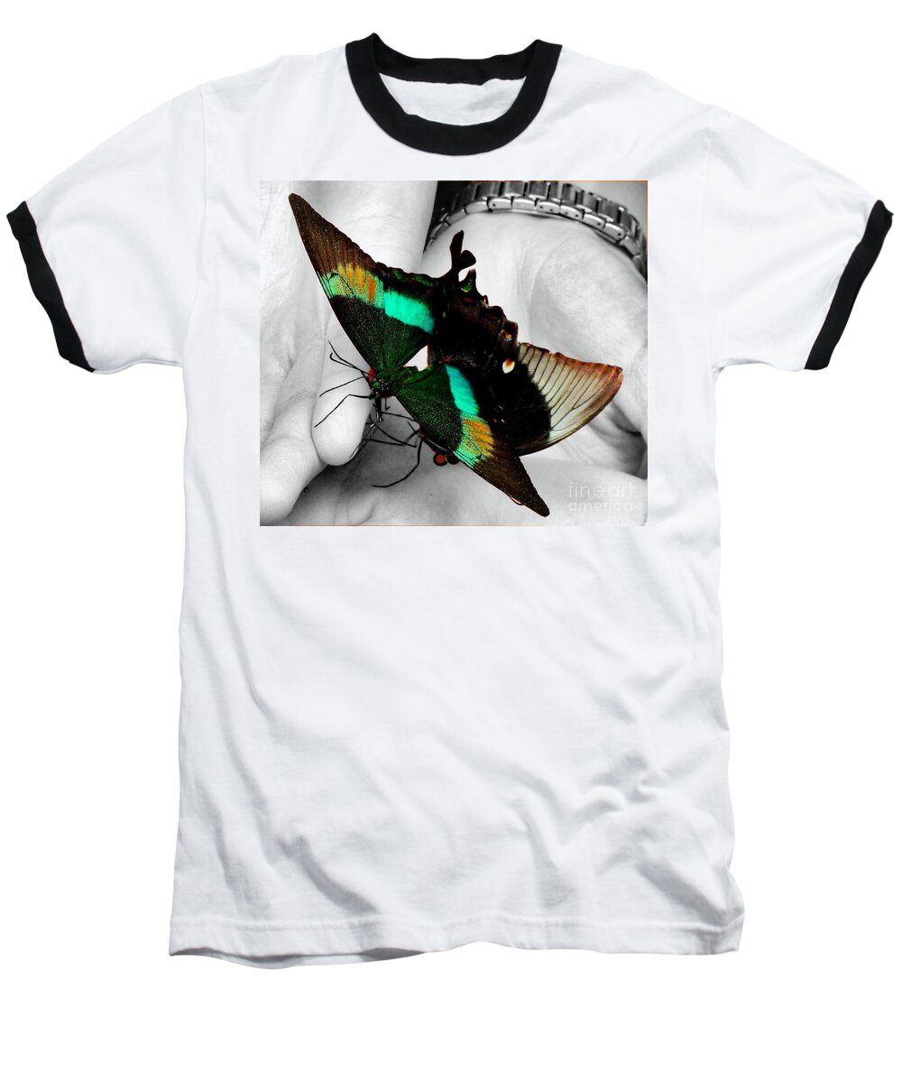 Emerald Swallowtail Baseball T-Shirt featuring the photograph Two Emerald Swallowtails by Janette Boyd