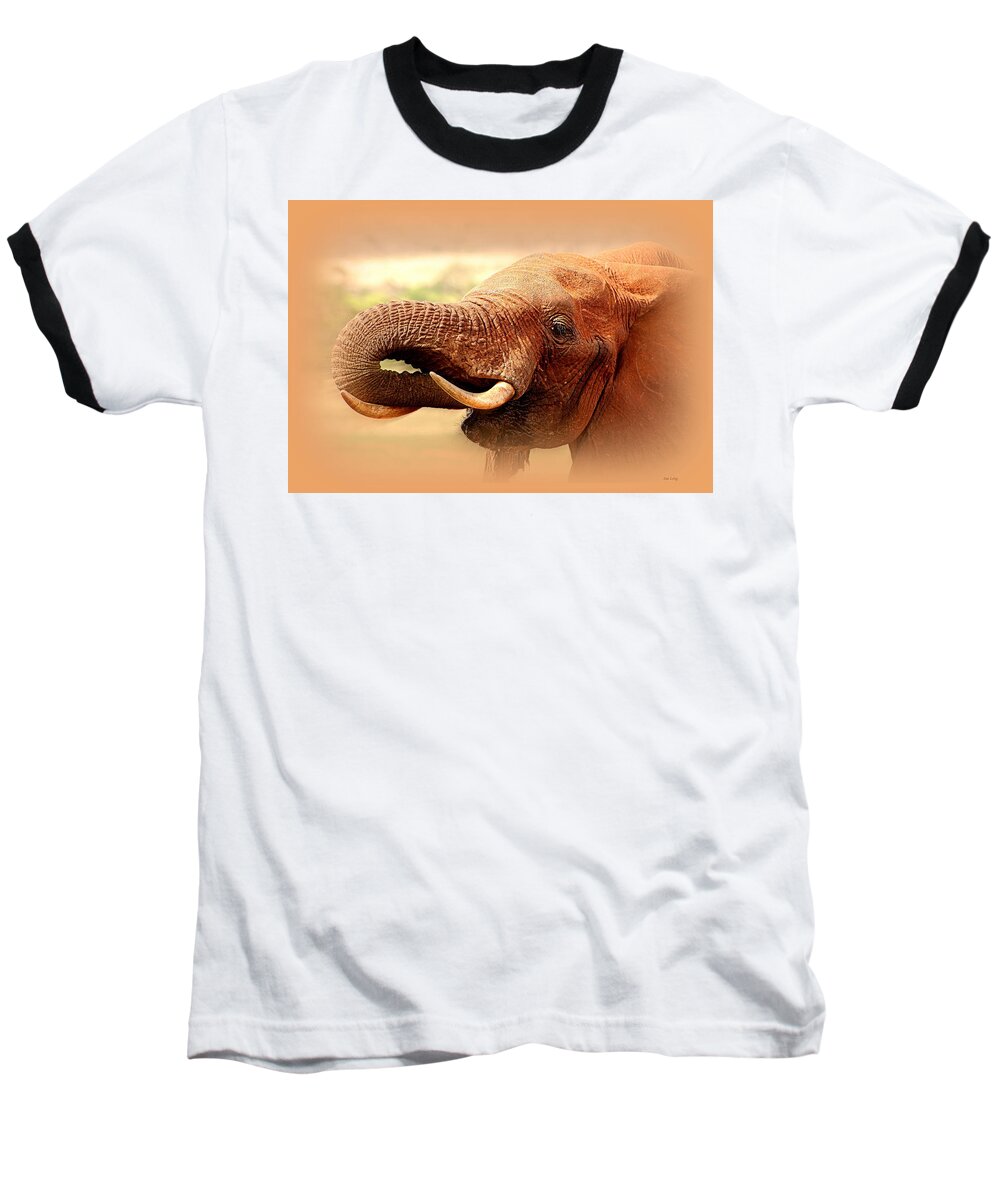 Elephant Baseball T-Shirt featuring the photograph Extinction Is Forever by Sue Long