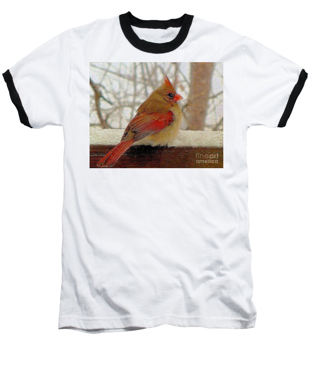 Bird Baseball T-Shirt featuring the photograph Female Cardinal Caught in Snowstorm by Janette Boyd