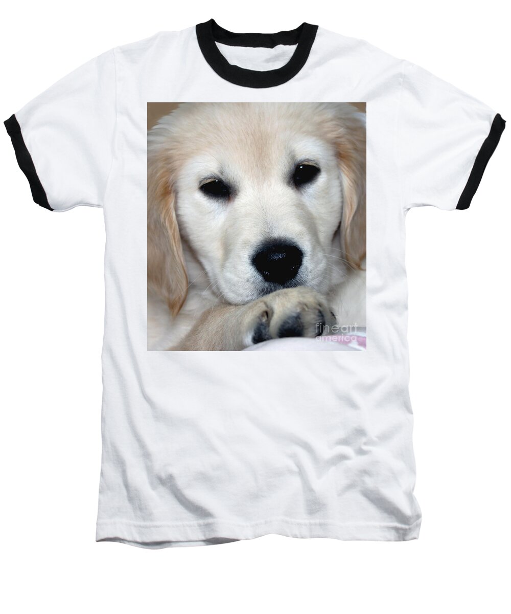 Fiona Baseball T-Shirt featuring the photograph Fiona the English Cream by Debbie Hart