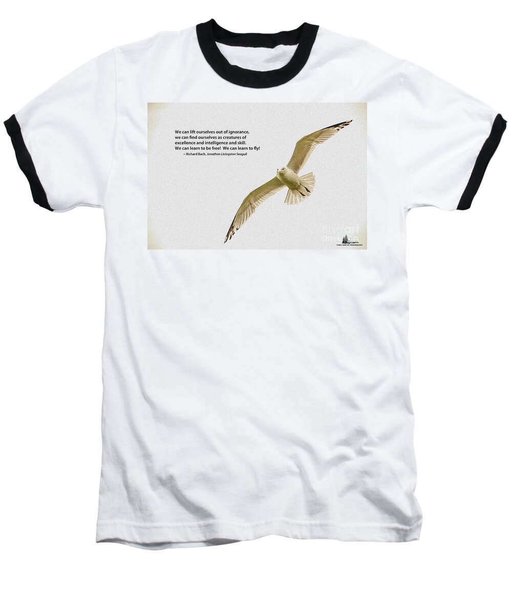 Seagull Baseball T-Shirt featuring the photograph Free Flight by Grace Grogan