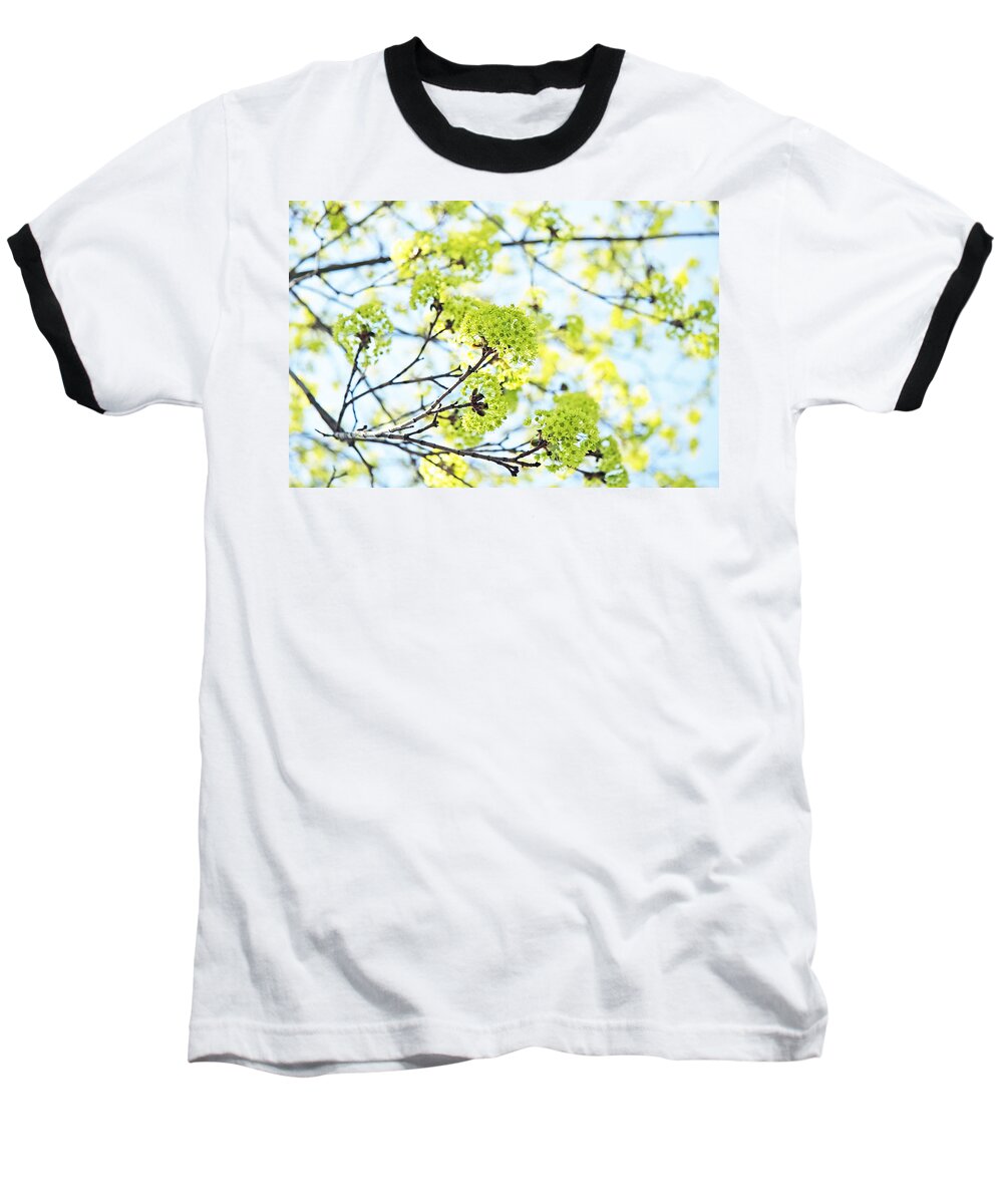 Blue Baseball T-Shirt featuring the photograph Fresh Spring Green Buds by Brooke T Ryan
