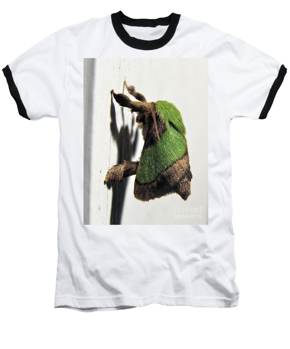 Moths Baseball T-Shirt featuring the photograph Green Hair Moth by Christopher Plummer