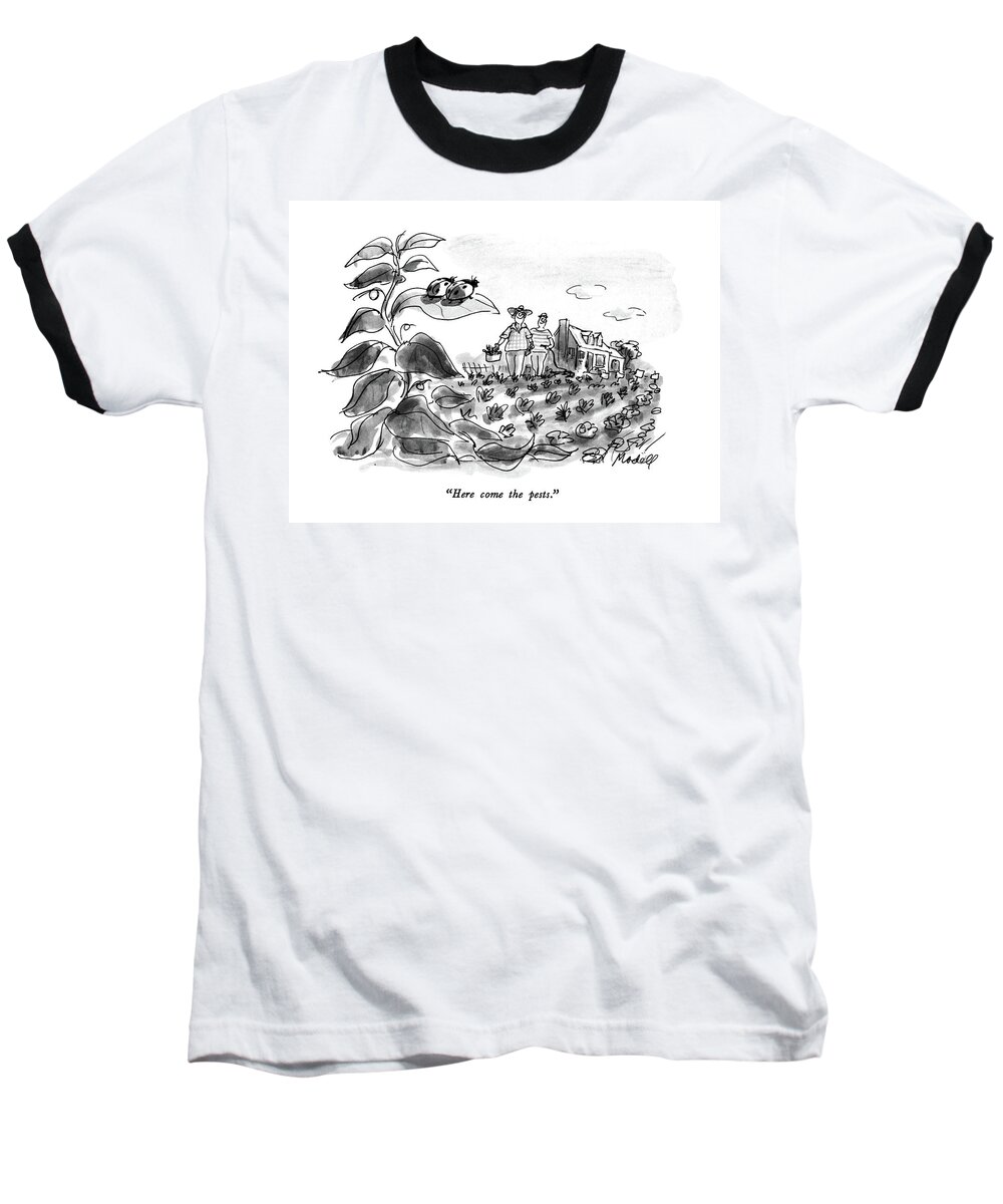 

 One Insect To Another About Two Gardeners Approaching Their Plant. 
Insects Baseball T-Shirt featuring the drawing Here Come The Pests by Frank Modell