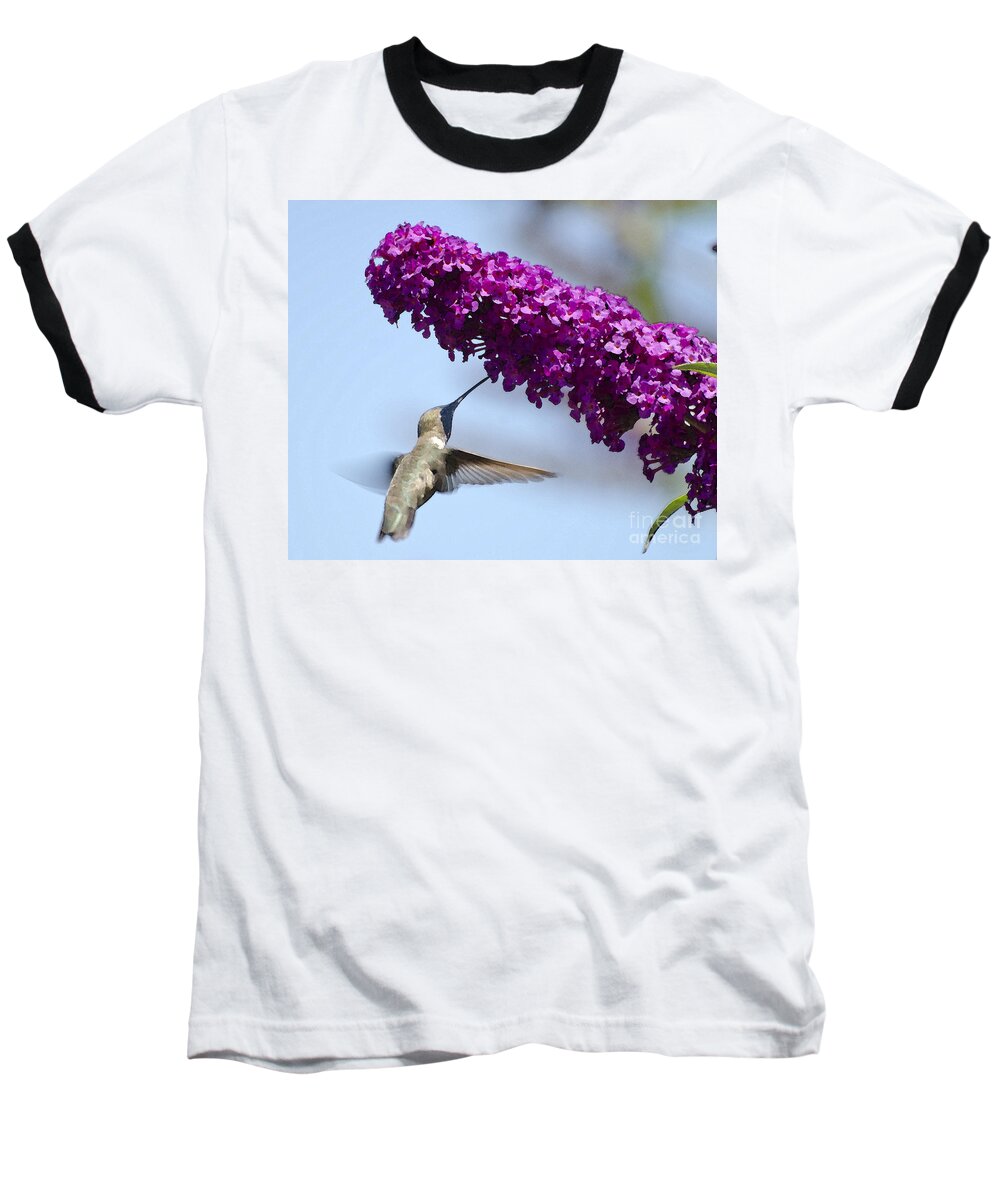 Hummingbird Baseball T-Shirt featuring the photograph Hummingbird and flower by Jim And Emily Bush