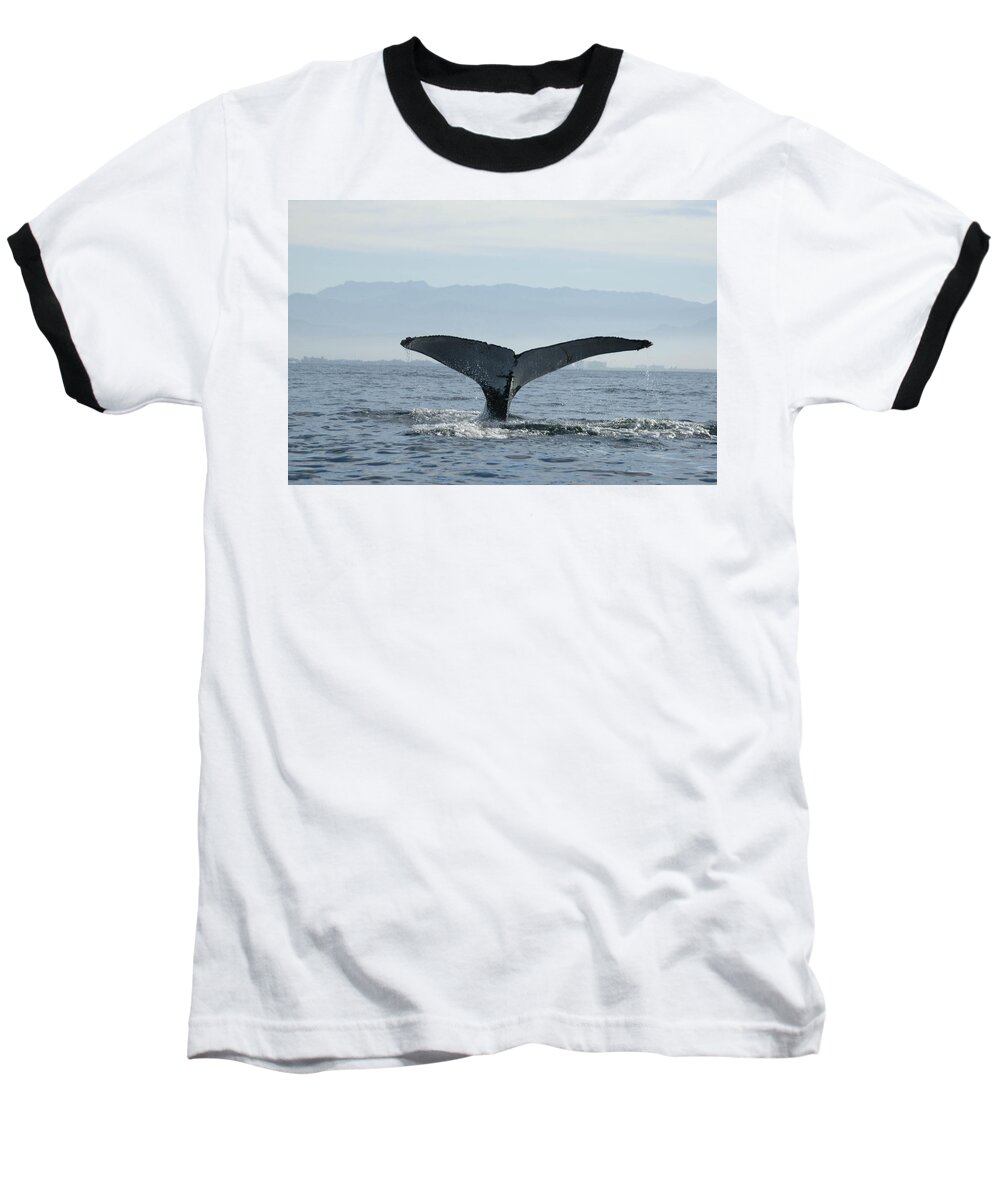 Humpback Whale Baseball T-Shirt featuring the photograph Humpback Whale Tail 3 by Tracy Winter