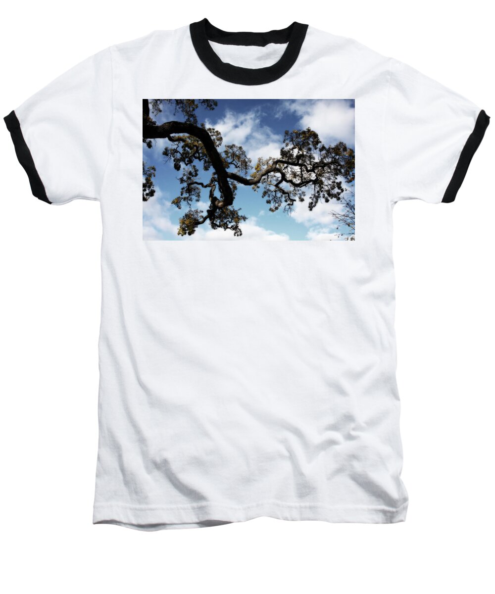 Trees Baseball T-Shirt featuring the photograph I Touch the Sky by Laurie Search