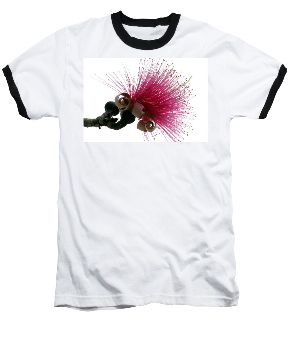 Paintbrush Baseball T-Shirt featuring the photograph Im a Flower by Bob Slitzan
