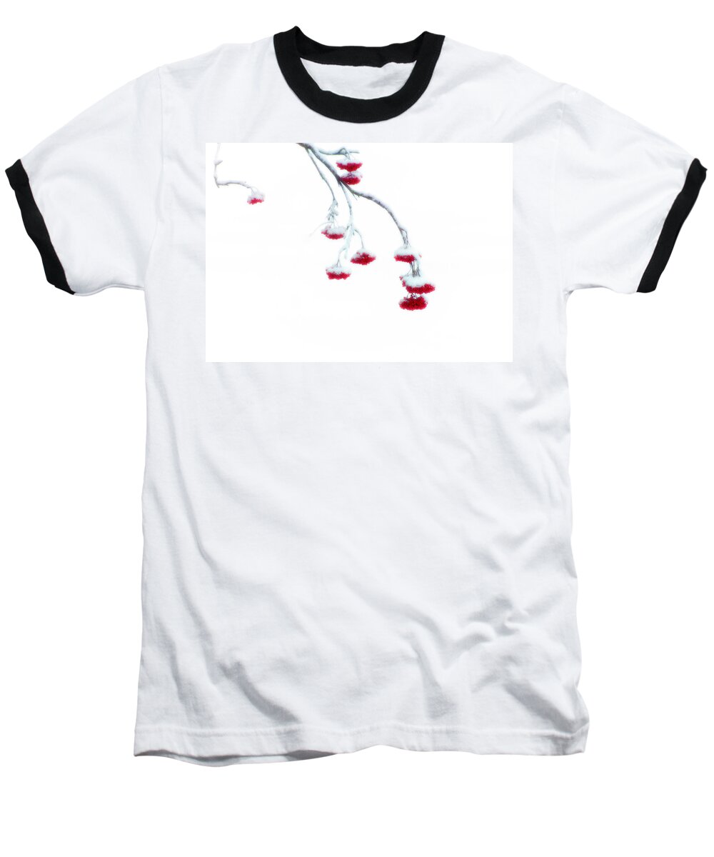 Canada Baseball T-Shirt featuring the photograph Let Me Down Easy by Doug Gibbons