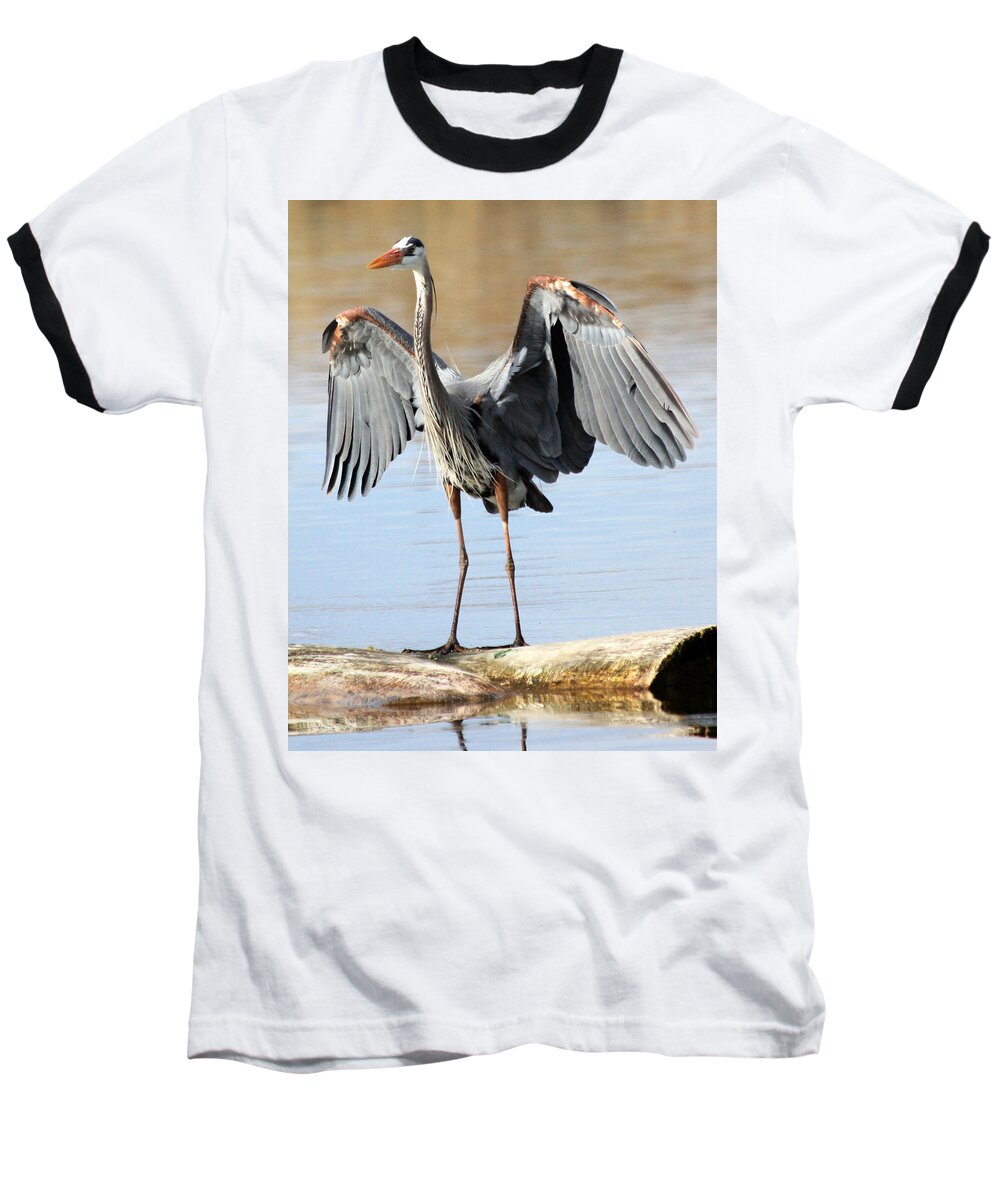 Great Blue Heron Baseball T-Shirt featuring the photograph Log Hog by Shane Bechler