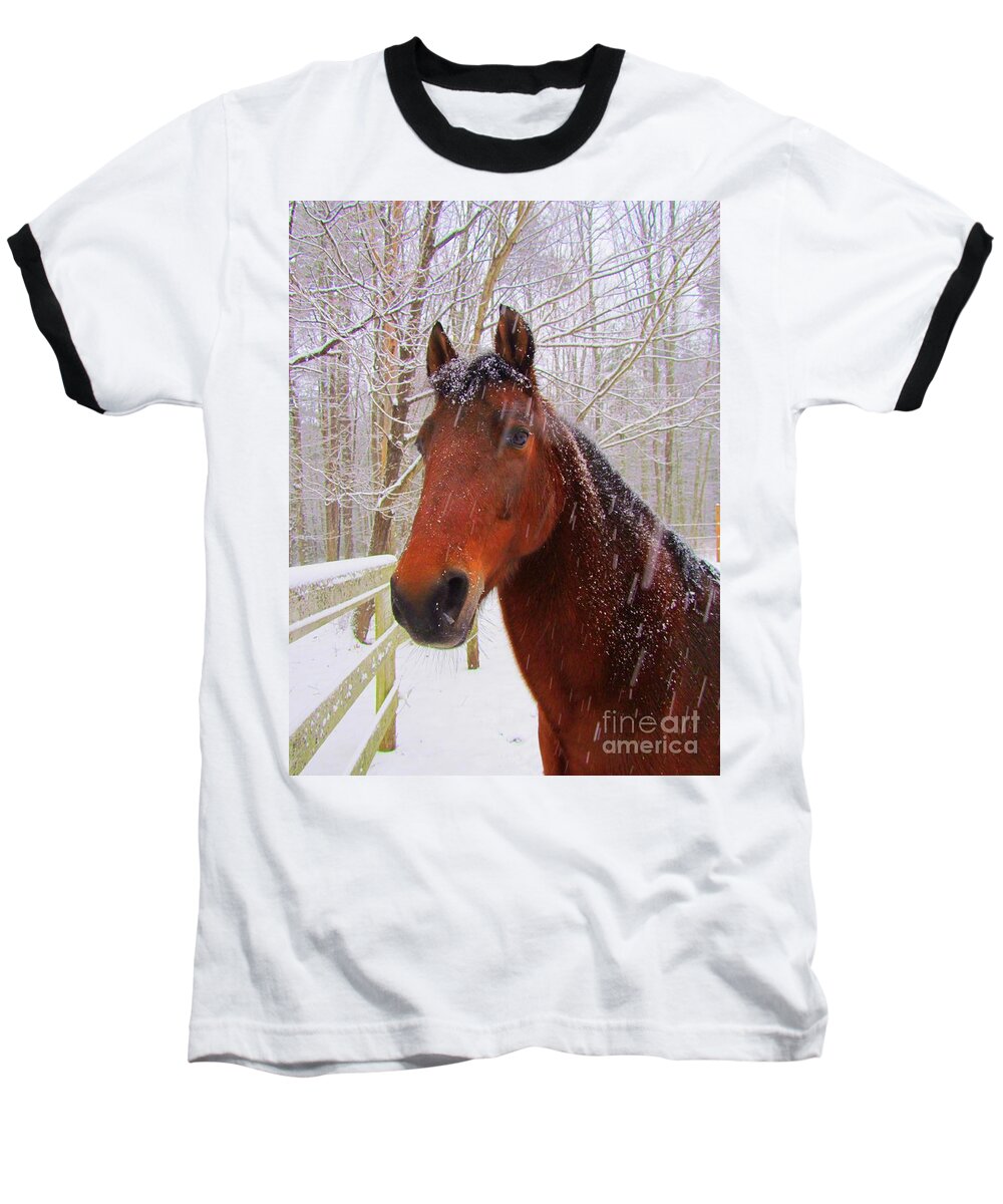 Morgan Horse Baseball T-Shirt featuring the photograph Majestic Morgan Horse by Elizabeth Dow