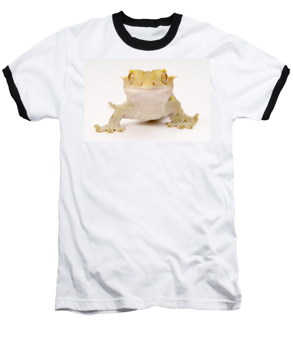 New Caledonian Crested Gecko Baseball T-Shirt featuring the photograph New Caledonian Gecko by Francesco Tomasinelli