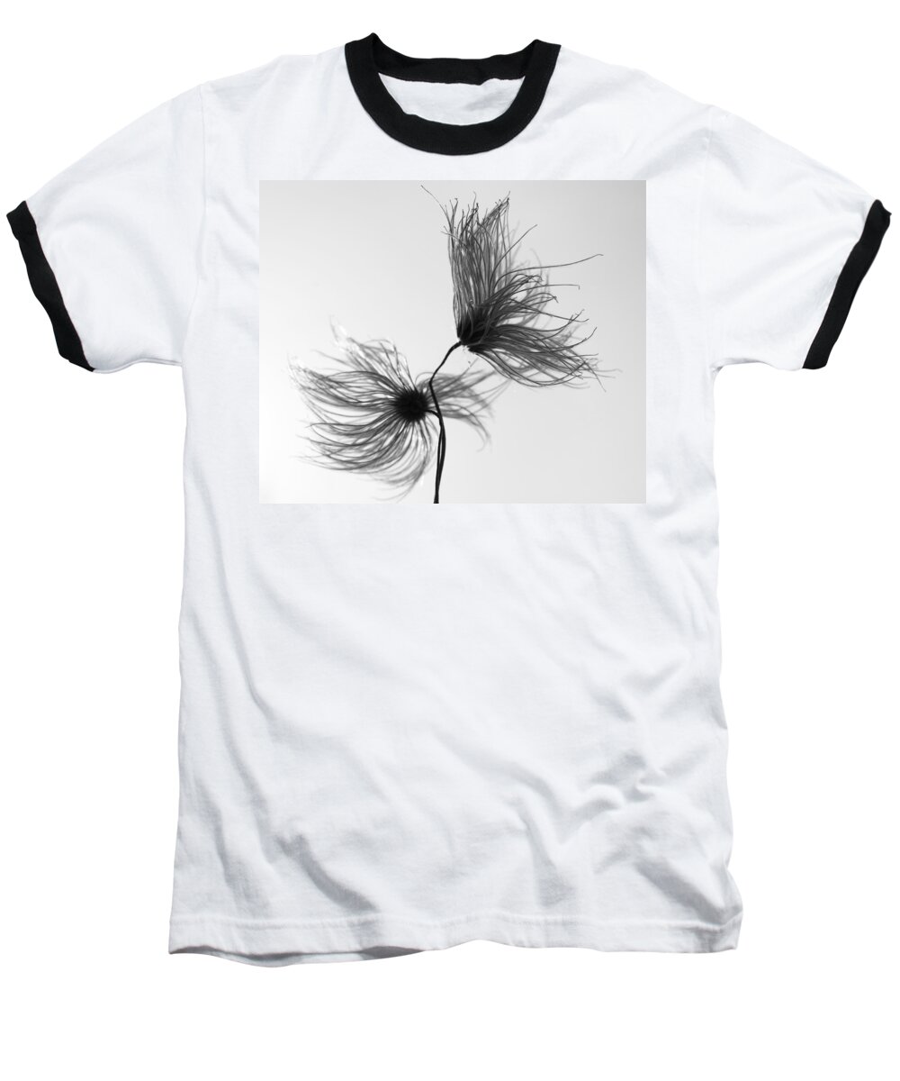 Flowers Baseball T-Shirt featuring the photograph Opposites Obstruct by J C