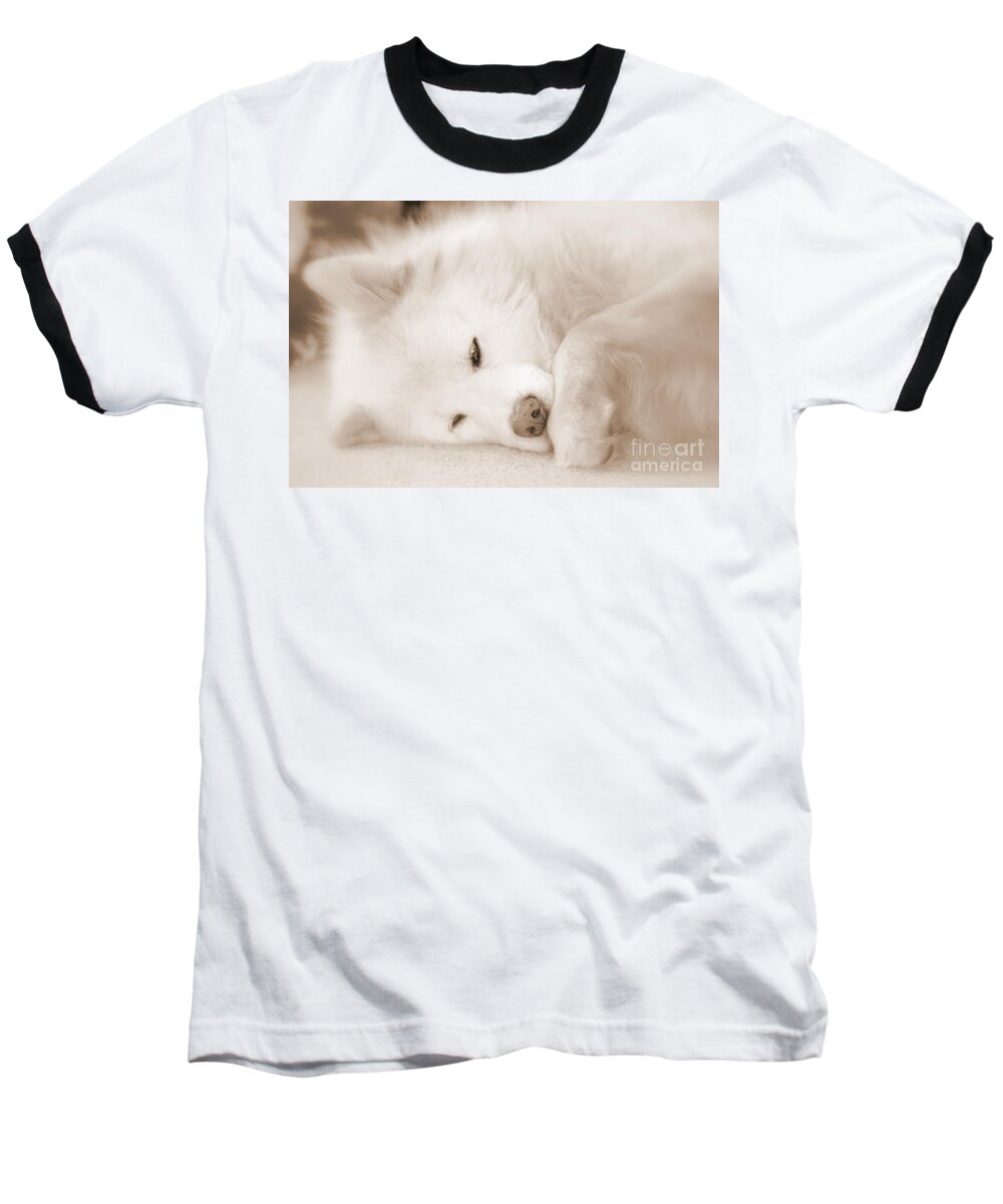 Samoyed Baseball T-Shirt featuring the photograph Pawsome by Fiona Kennard