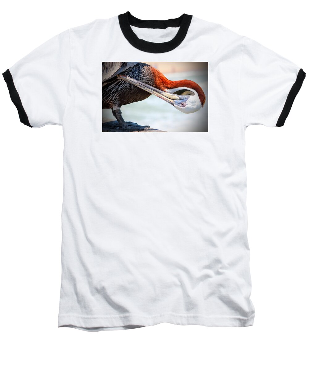 Pelican Baseball T-Shirt featuring the photograph Pelican Itch by Cynthia Guinn