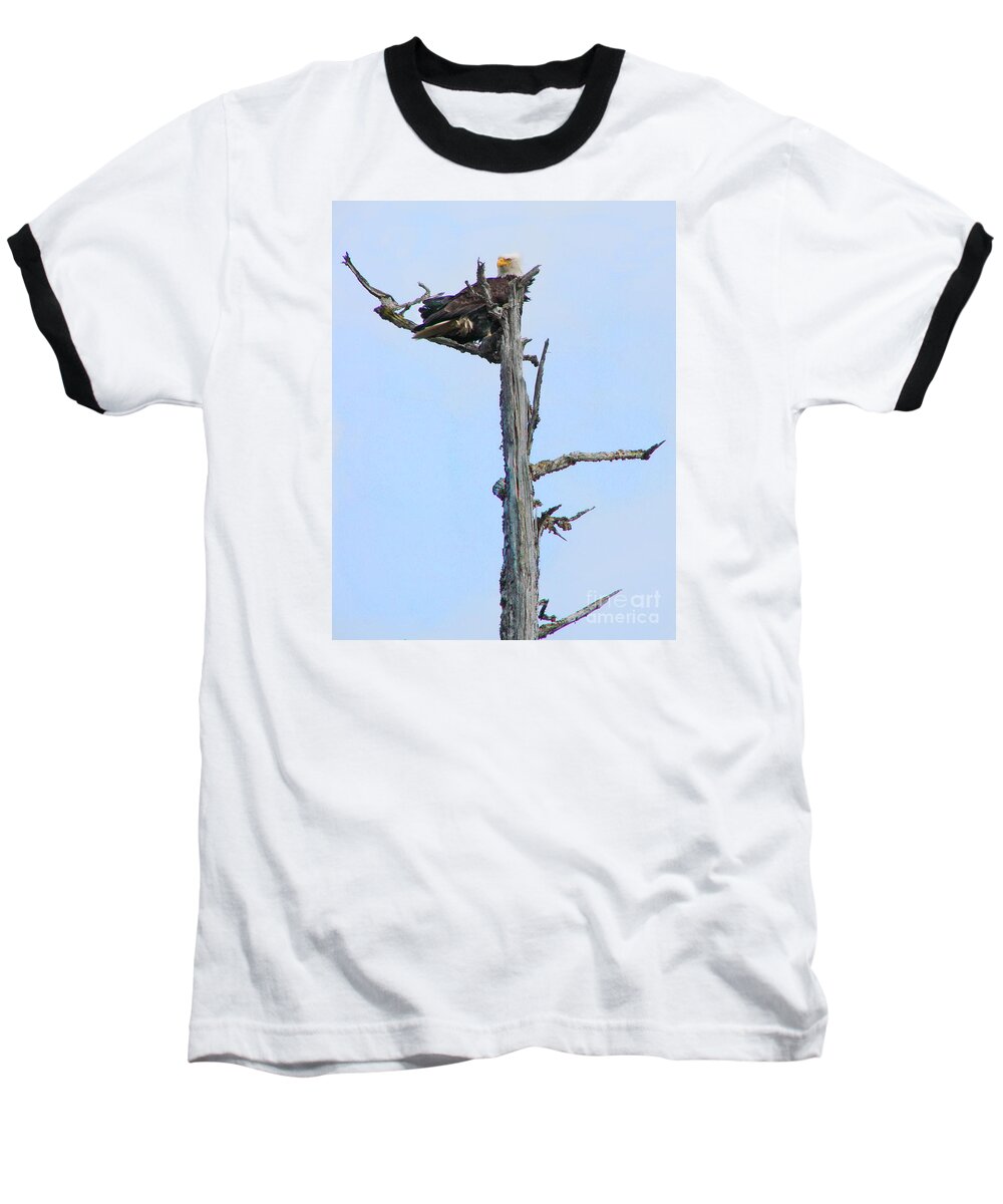 Eagle Baseball T-Shirt featuring the photograph Perched Eagle by Vivian Martin