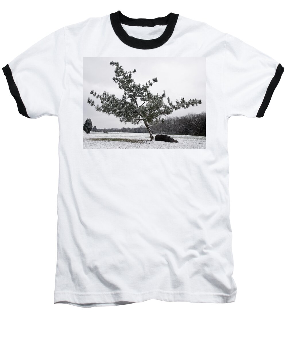 Virginia Pine Baseball T-Shirt featuring the photograph Pine Tree by Melinda Fawver
