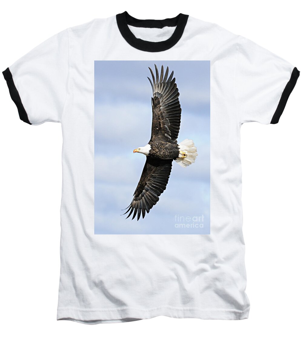 Photography Baseball T-Shirt featuring the photograph Soaring Eagle by Larry Ricker