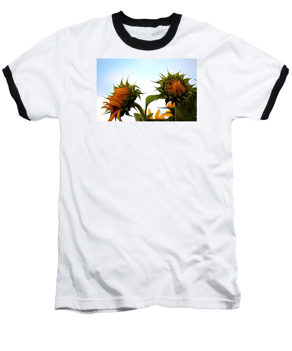 Sunflowers Baseball T-Shirt featuring the photograph Spring Sun Shine by Gregory Merlin Brown