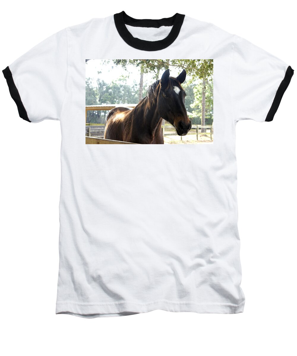 Mill Creek Farm Baseball T-Shirt featuring the photograph Star by Laurie Perry