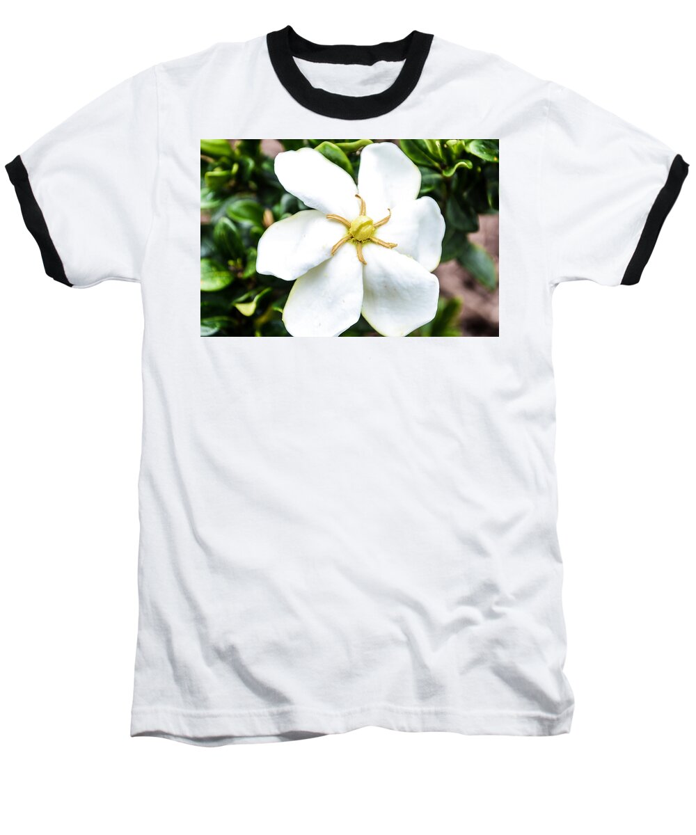 Flowers Baseball T-Shirt featuring the photograph Starfish Gardenia by Mary Hahn Ward