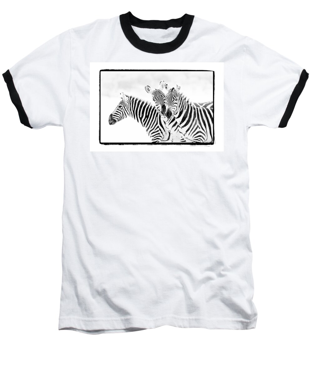 Africa Baseball T-Shirt featuring the photograph Striped Threesome by Mike Gaudaur
