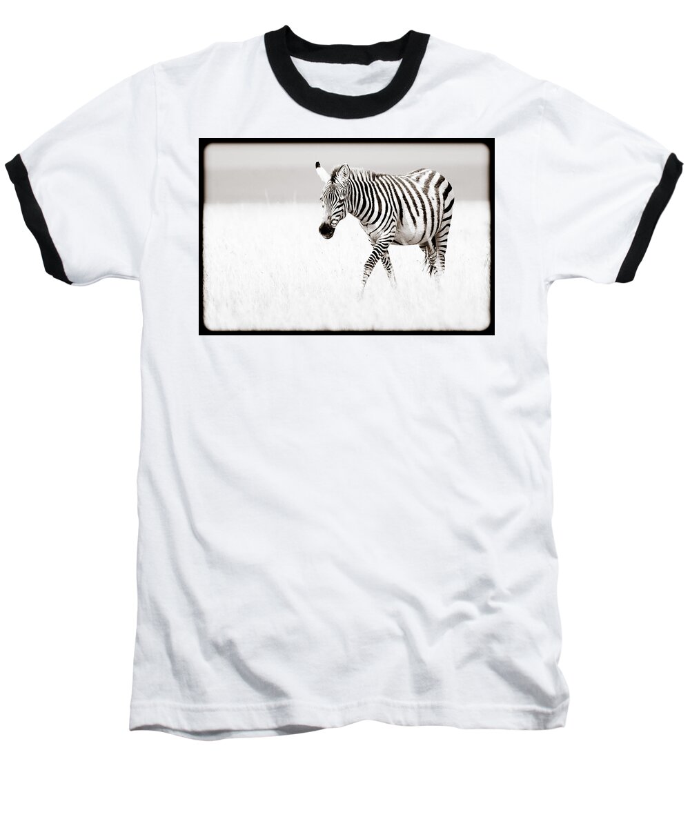 Africa Baseball T-Shirt featuring the photograph Stripes On The Move by Mike Gaudaur