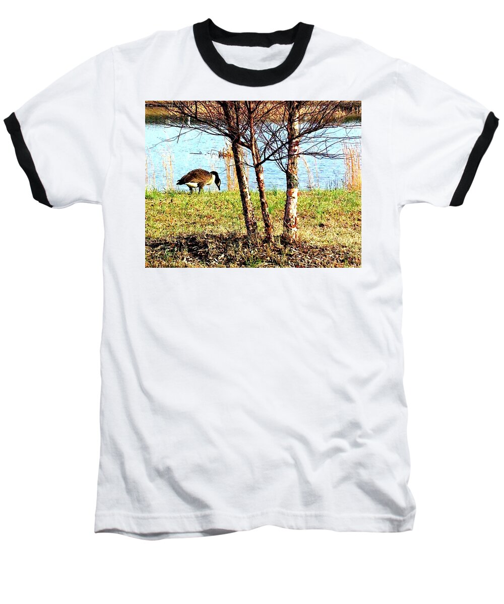 Nature Baseball T-Shirt featuring the photograph Testing The Waters by Pamela Hyde Wilson
