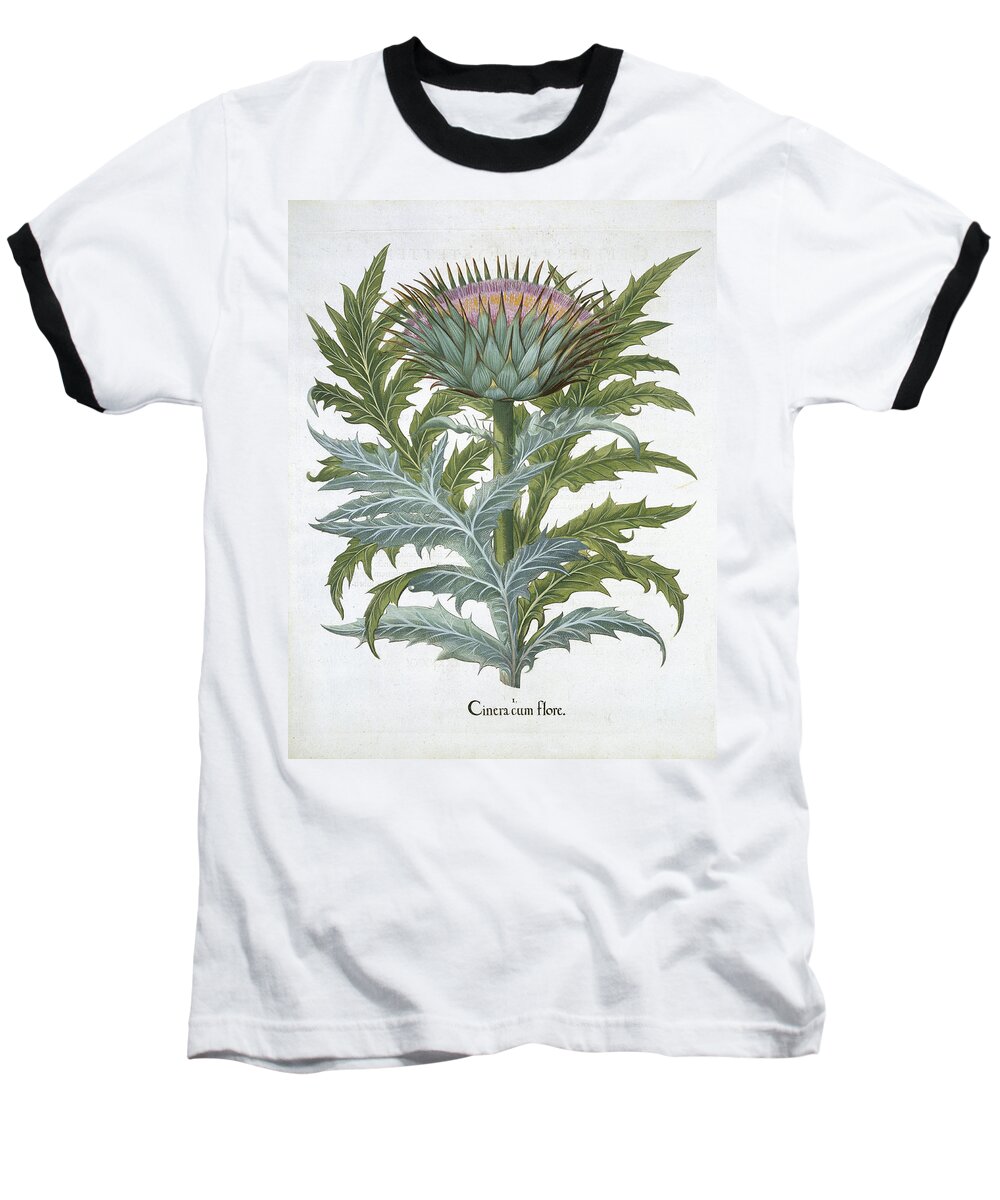 Cynara Cardunclus Baseball T-Shirt featuring the drawing The Cardoon, From The Hortus by German School