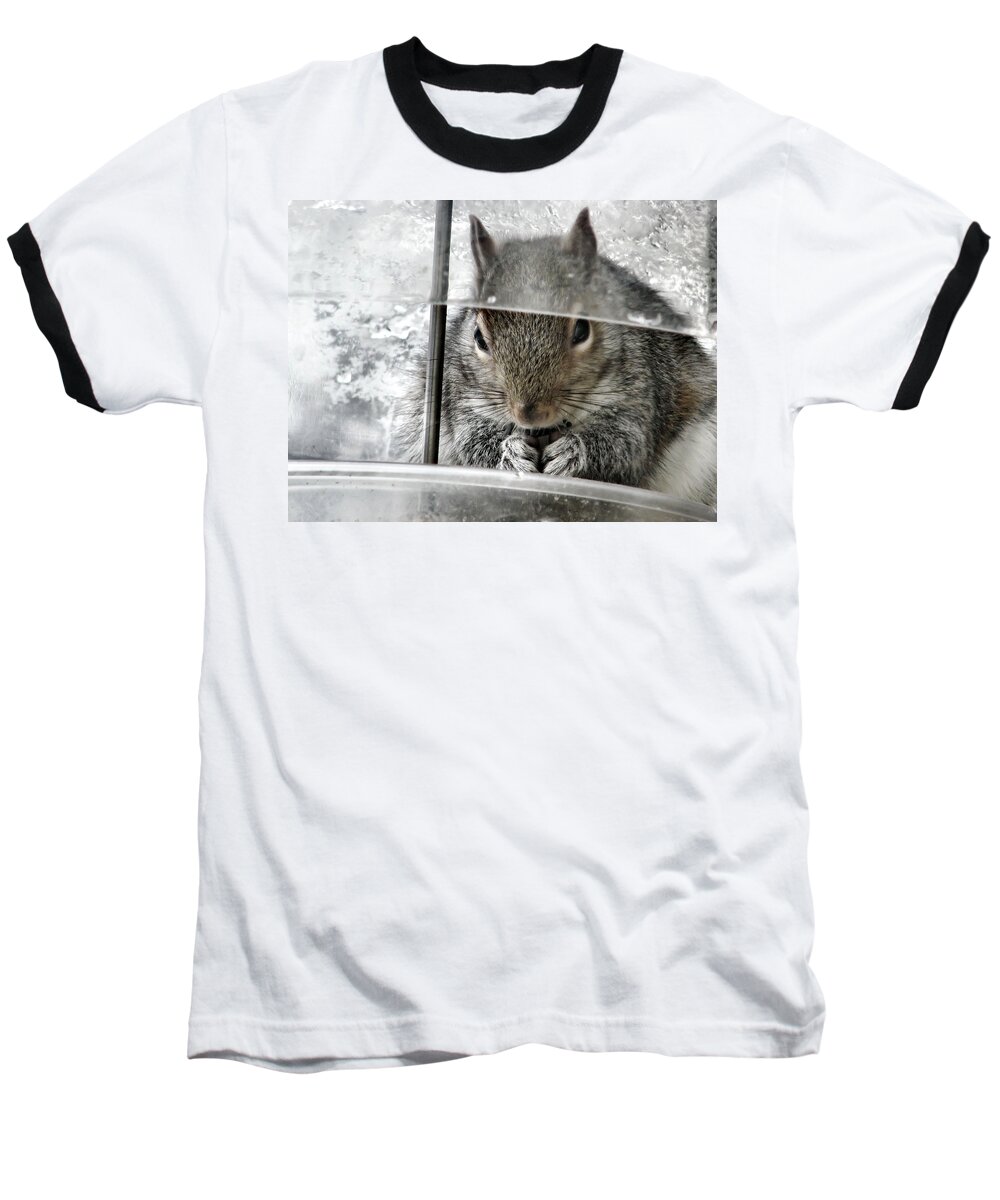 Squirrel Baseball T-Shirt featuring the photograph Thief In The Birdfeeder by Rory Siegel