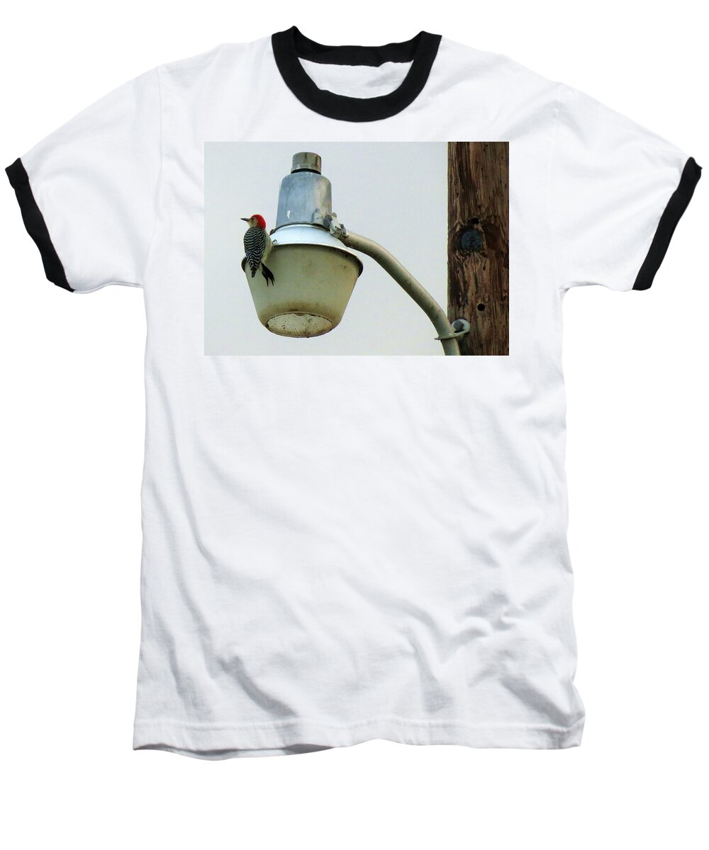 Nature. Woodpecker Baseball T-Shirt featuring the photograph This Wood Tastes Funny by Fortunate Findings Shirley Dickerson