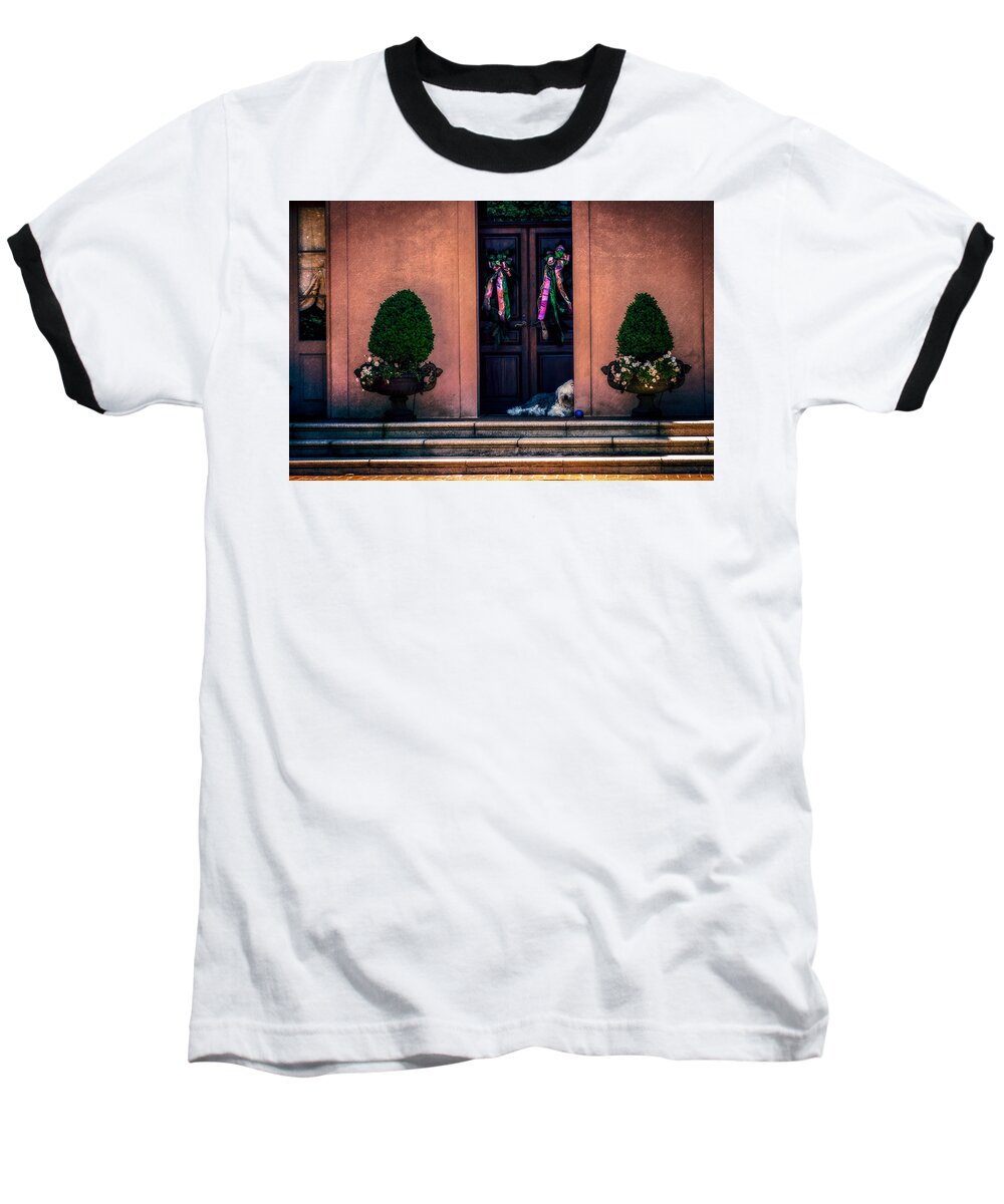 Nawlins Baseball T-Shirt featuring the photograph Too Hot To Fetch by Melinda Ledsome