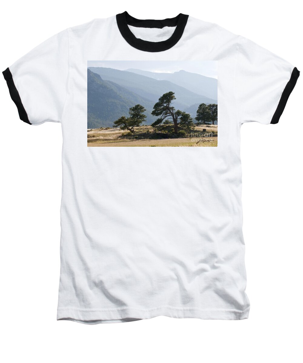 Pine Trees Baseball T-Shirt featuring the photograph Twisted Pines by Bon and Jim Fillpot