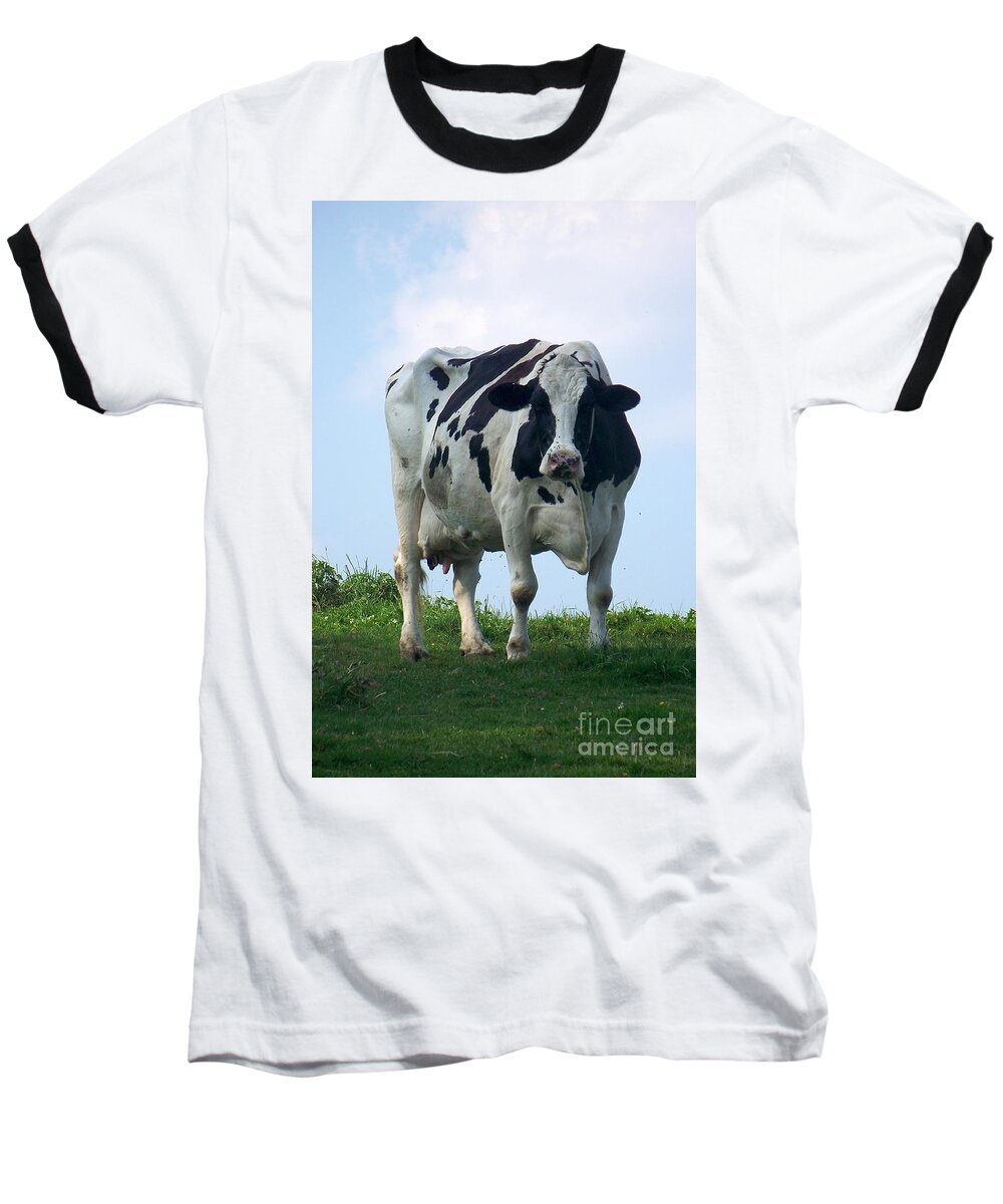 Cows Baseball T-Shirt featuring the photograph Vermont Dairy Cow by Eunice Miller