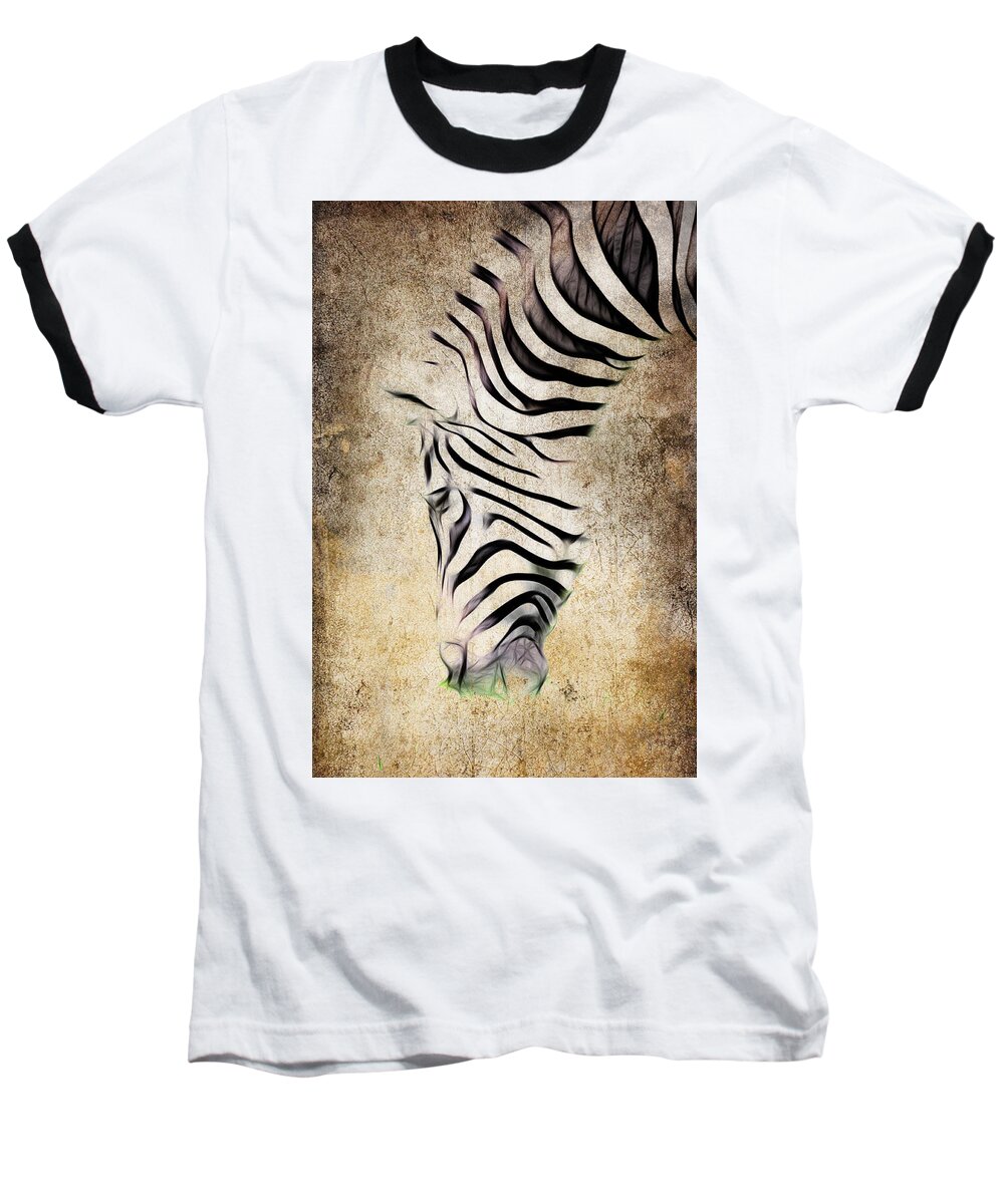 Zebra Baseball T-Shirt featuring the photograph Zebra Fade by Steve McKinzie