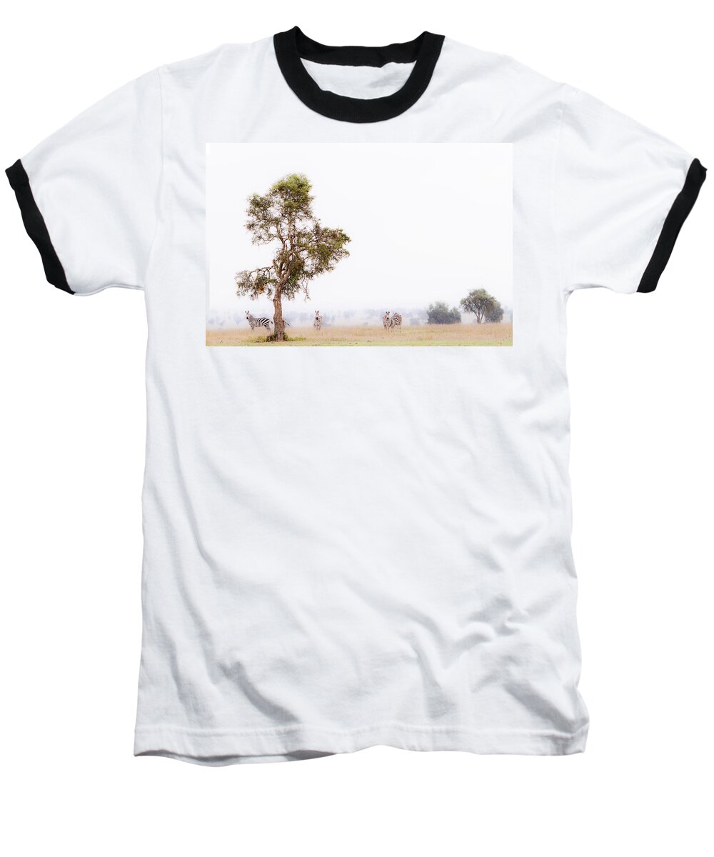 Africa Baseball T-Shirt featuring the photograph Zebra In The Mist by Mike Gaudaur