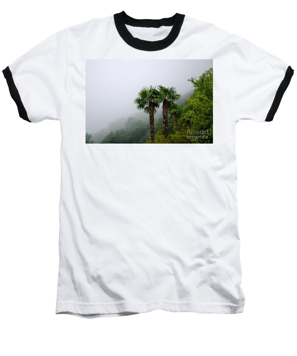 Palm Baseball T-Shirt featuring the photograph Palm trees #1 by Mats Silvan