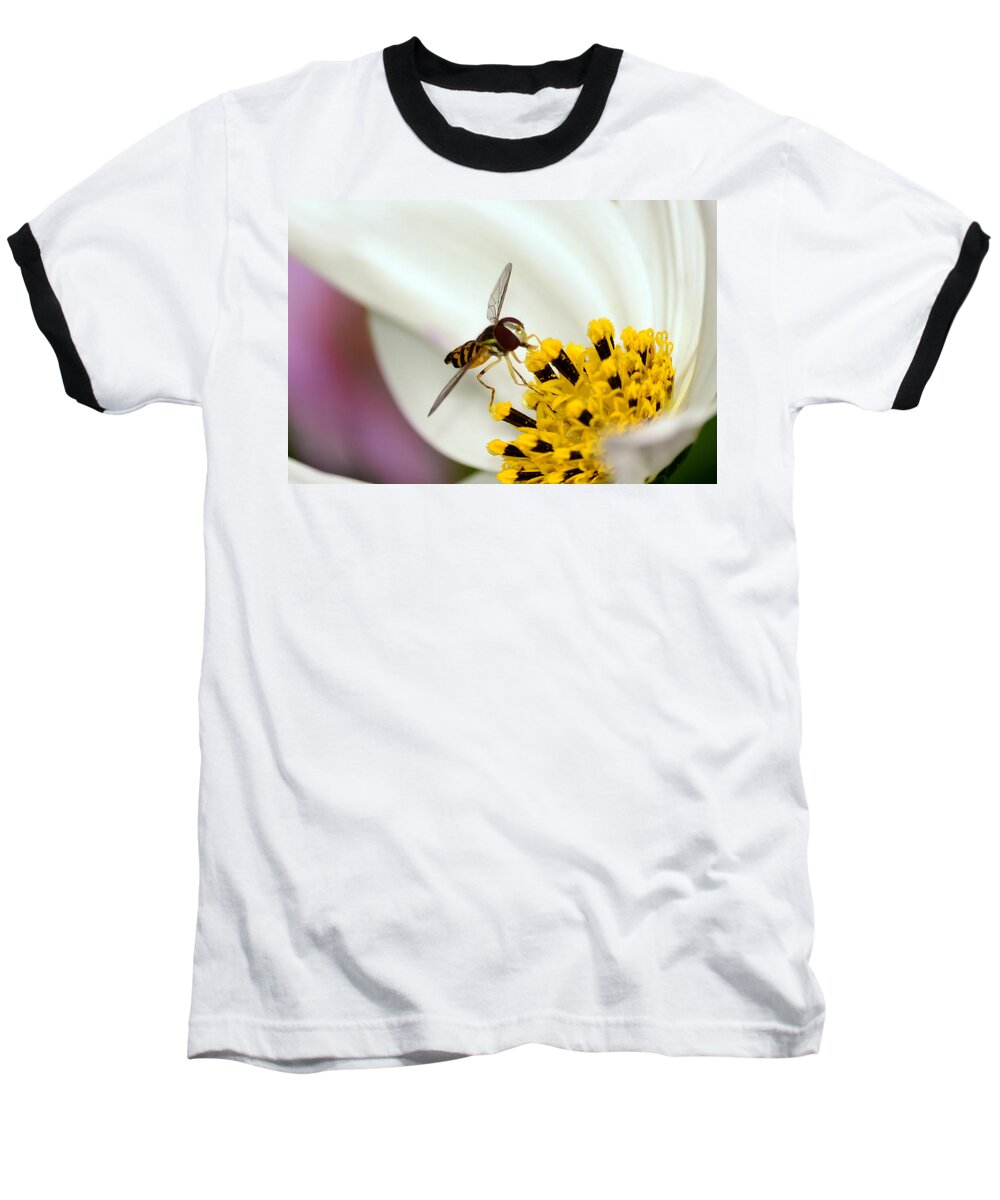 Bee Baseball T-Shirt featuring the photograph Afternoon Delight by Lori Tambakis