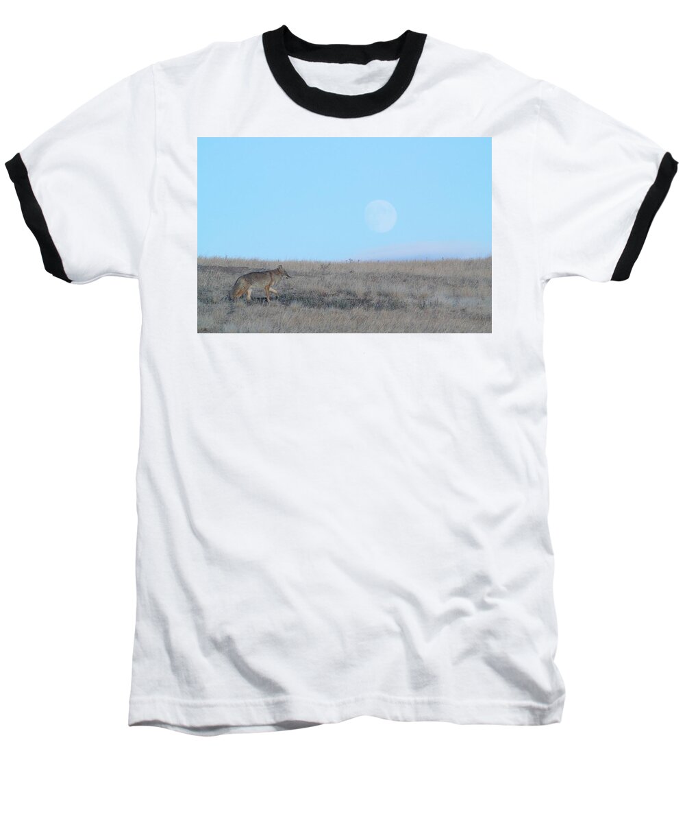 Wildlife Baseball T-Shirt featuring the photograph Early Hunt by Donald J Gray