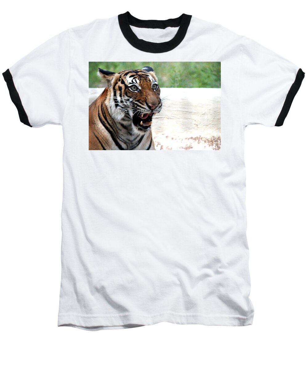 Tigers Baseball T-Shirt featuring the photograph Make My Day by Kathy White