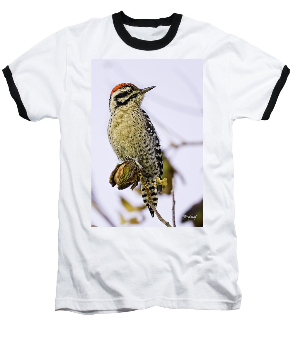 Woodpecker Baseball T-Shirt featuring the photograph Male Ladder Back Woodpecker Eating Pecan by Fred J Lord
