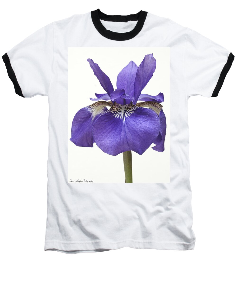 Flower Baseball T-Shirt featuring the photograph Siberian Iris by Fran Gallogly